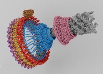 The Flagellar Motor