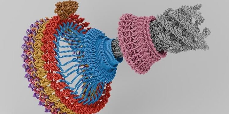 The Flagellar Motor
