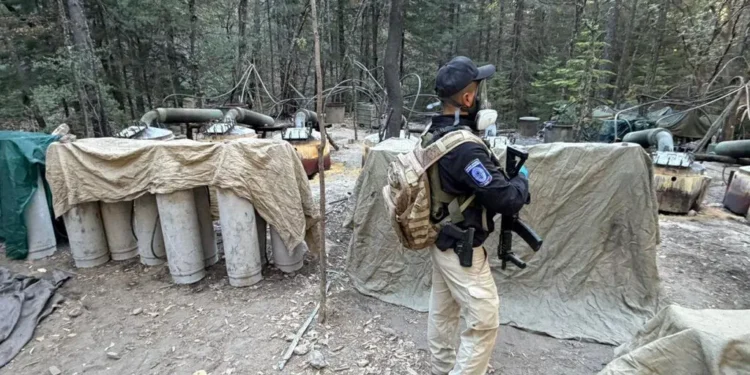 CIA Officers Killed in Mexico Crash