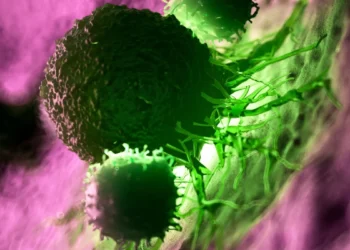 pancreatic cancer vaccine
