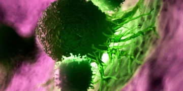 pancreatic cancer vaccine