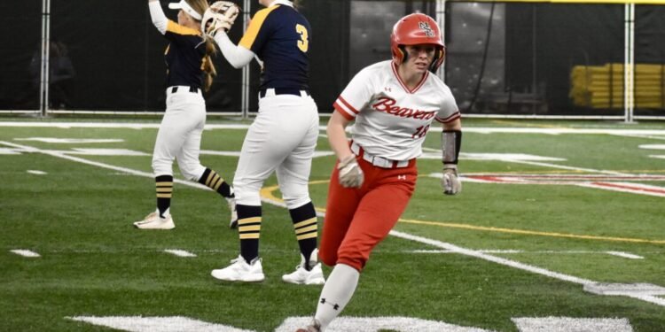 Minot State Beavers Softball Splits Road Series