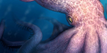 Cretaceous Kraken Discovery: Massive 61-Foot Octopus