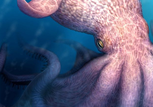 Cretaceous Kraken Discovery: Massive 61-Foot Octopus
