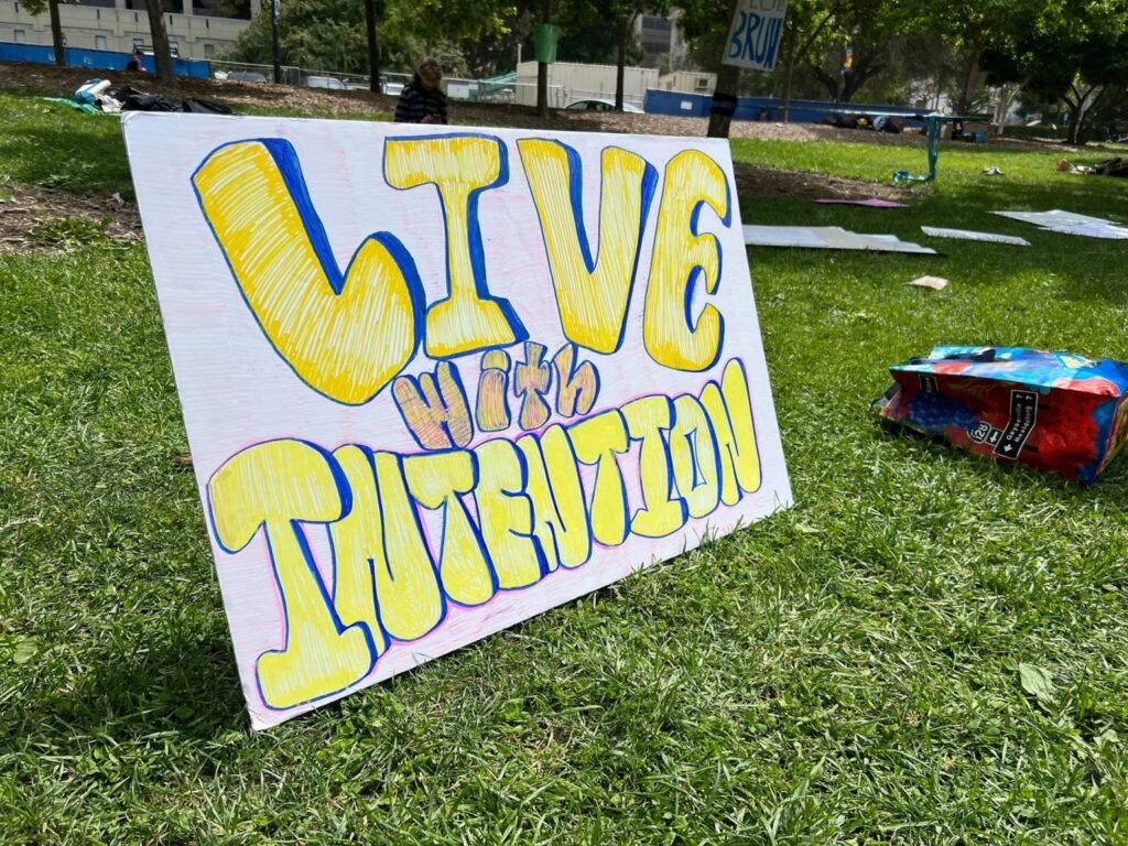 UC Berkeley Phone-Free Movement: How Students Are Fighting