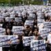 Samsung workers rally