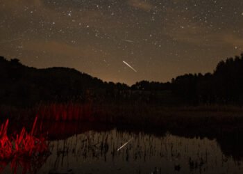 Lyrid Meteor Shower 2026 Peaks Tonight: How to Catch the Spectacular Sky Show